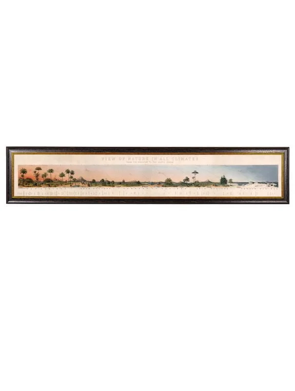 decorharrogate-81853