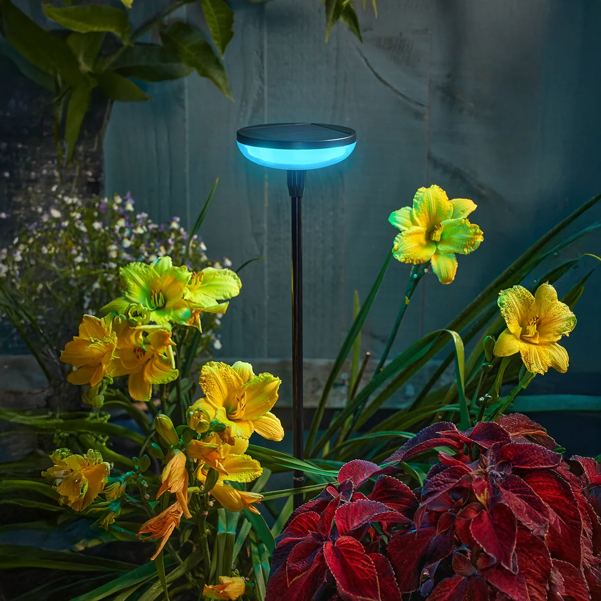 festive-lights-152202