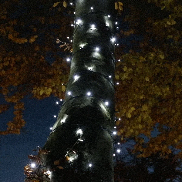 festive-lights-72742