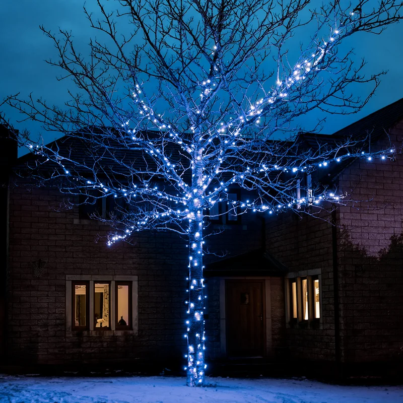 festive-lights-73281