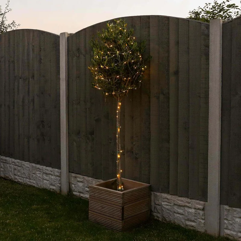 festive-lights-73324