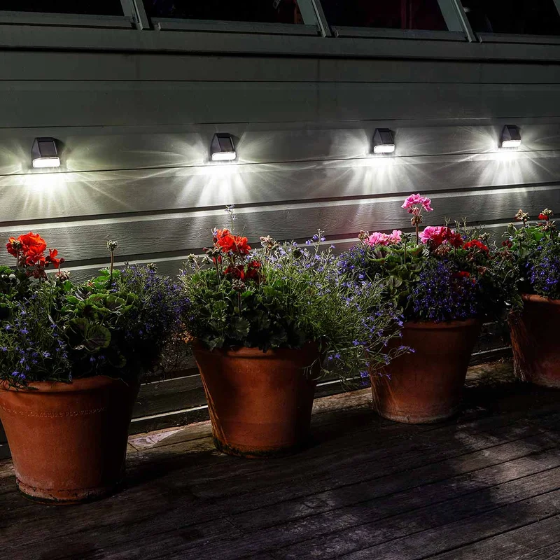 festive-lights-73387