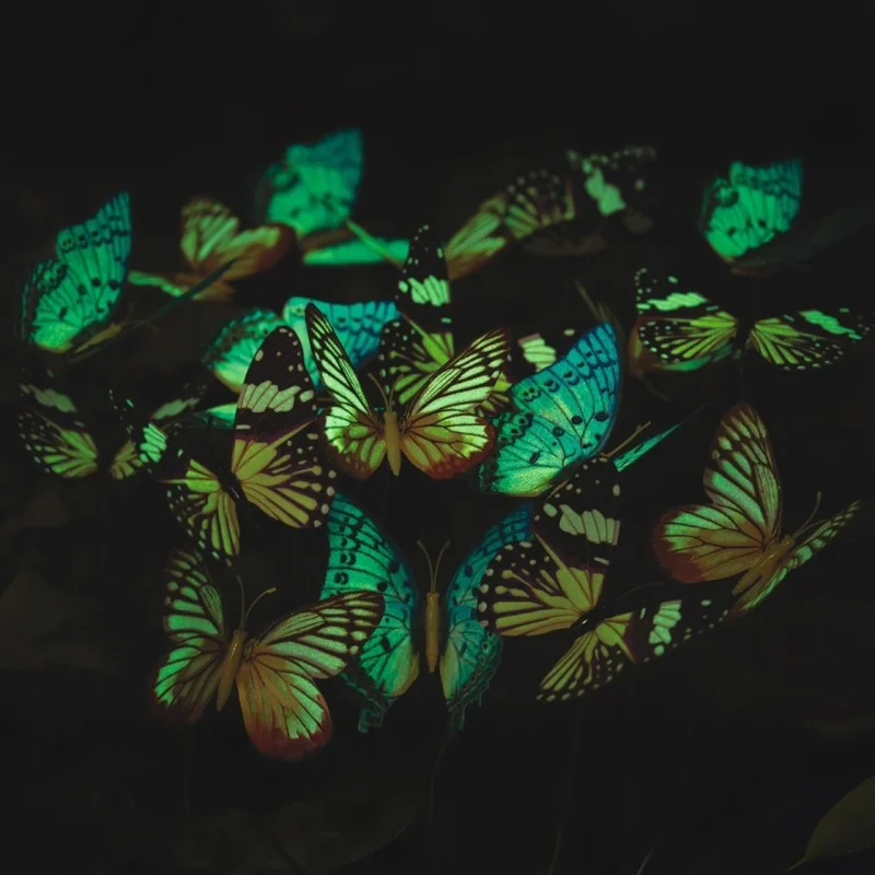 glow-80471