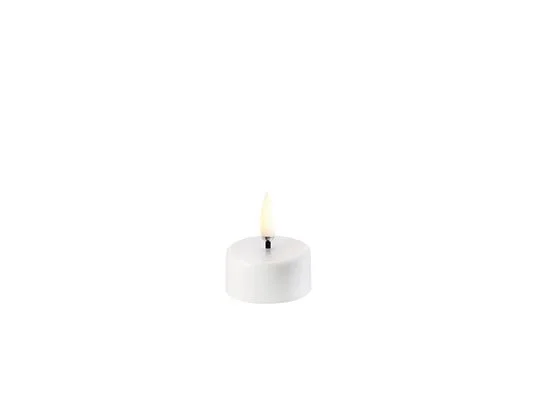 lampmasters-159649