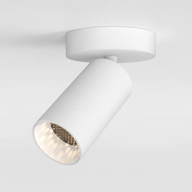 lights2go-117078