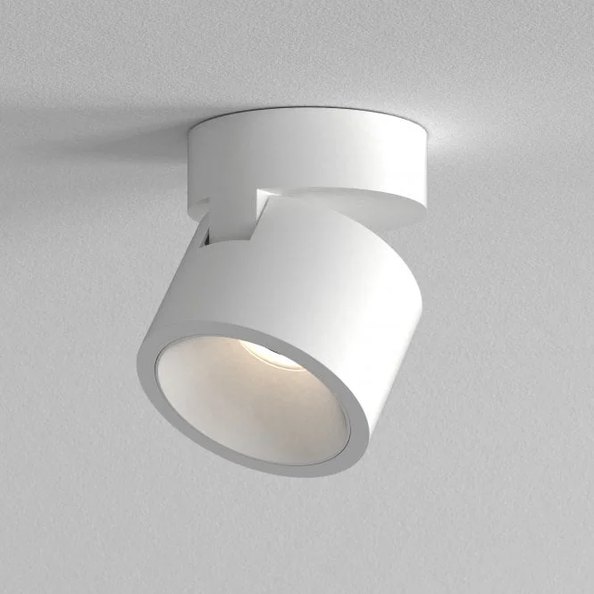 lights2go-117707