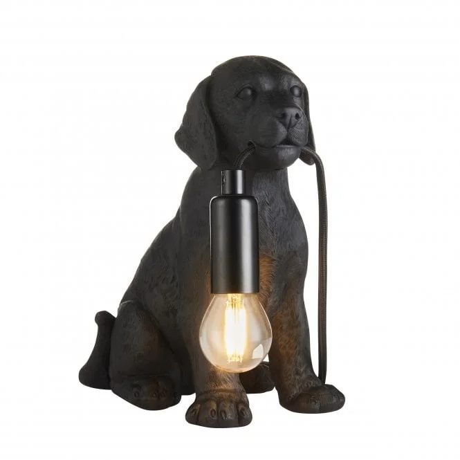 lights2go-153561