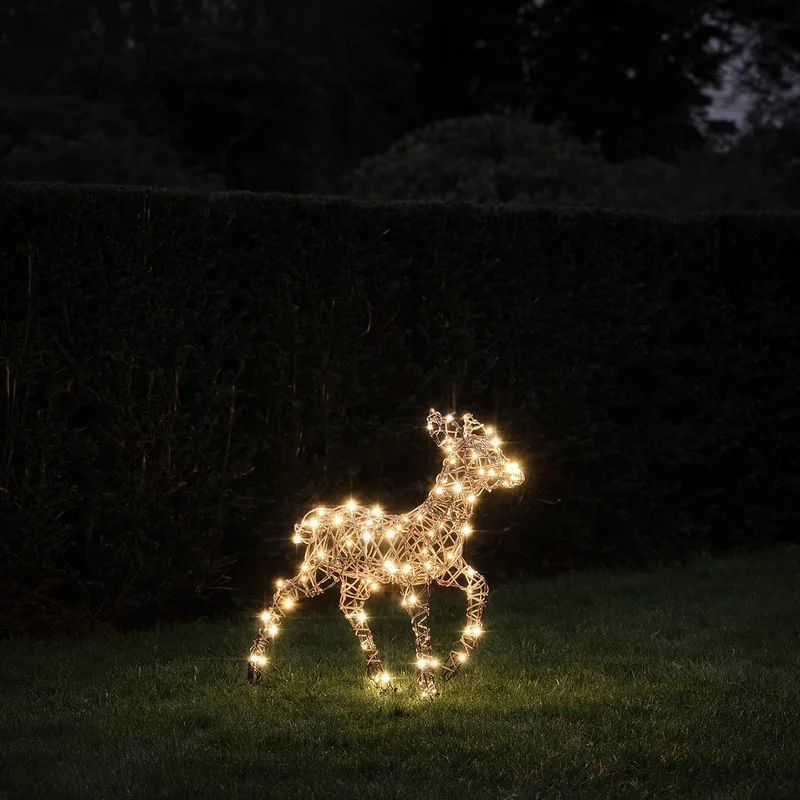 lights4fun53466