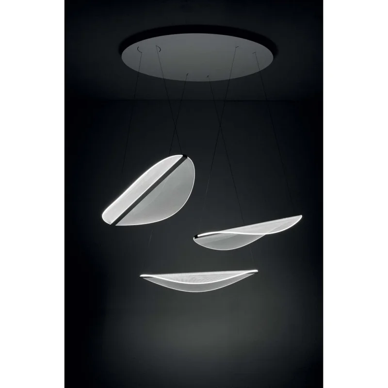 moonlightdesign62636