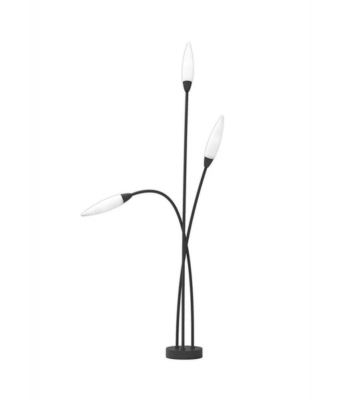 netlighting-177927