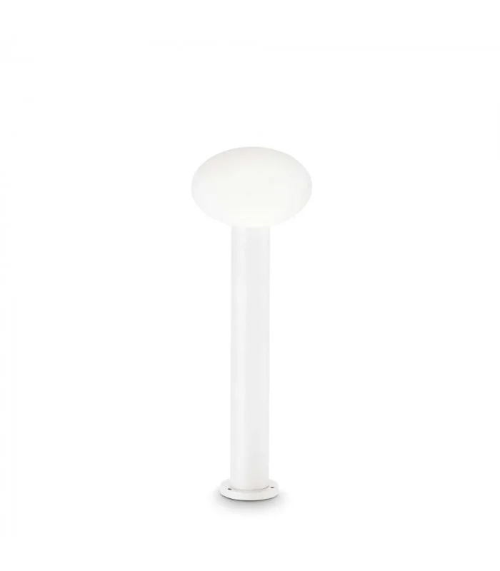 netlighting-184044