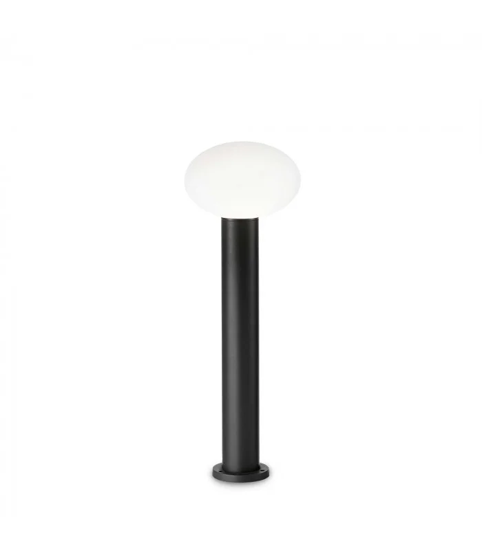 netlighting-184047