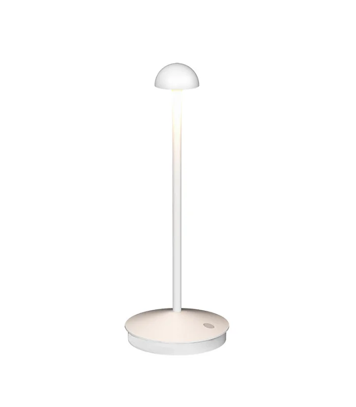 netlighting-186914