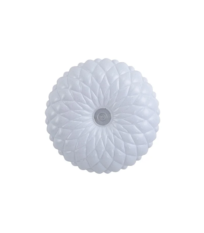 netlighting-187655