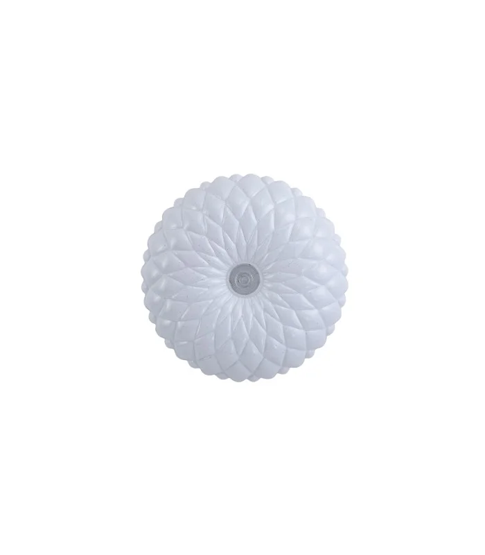 netlighting-187656