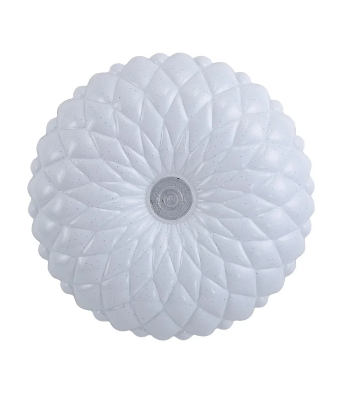 netlighting-187660