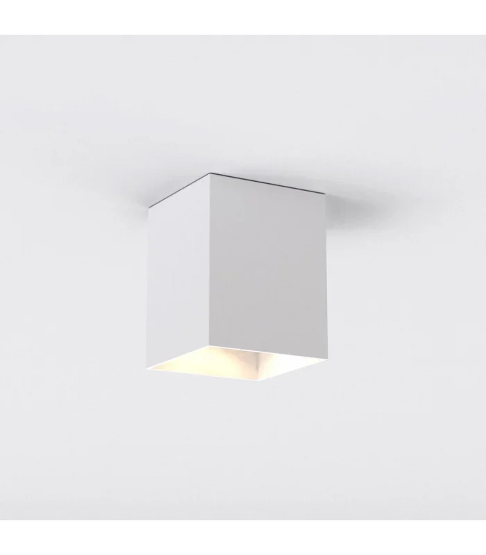 netlighting-221266